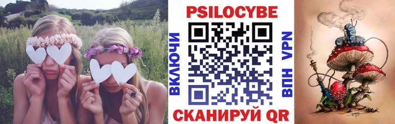 Галлюциногенные грибы Cubensis  blacksprut   Щёлкино  сколько стоит 